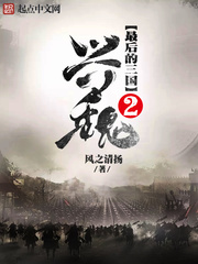 最后的三国2兴魏无防盗