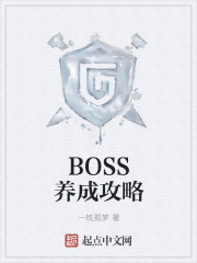 boss养成指南